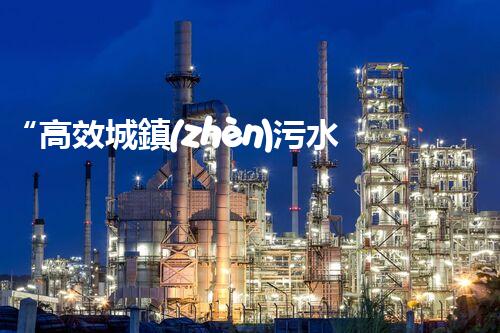 “高效城鎮(zhèn)污水處理流程，守護(hù)碧水藍(lán)天新篇章”